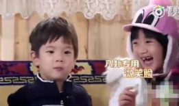 娱乐圈的八卦吃瓜是谁